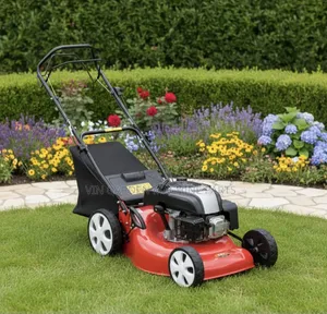 Briggs & Stratton 6HP Lawnmower – Petrol