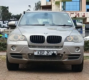 BMW X5 2009 Brown