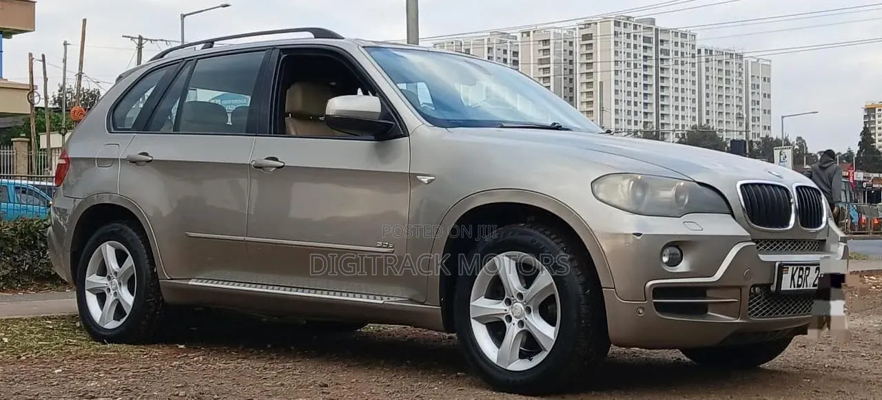 BMW X5 2009 Brown
