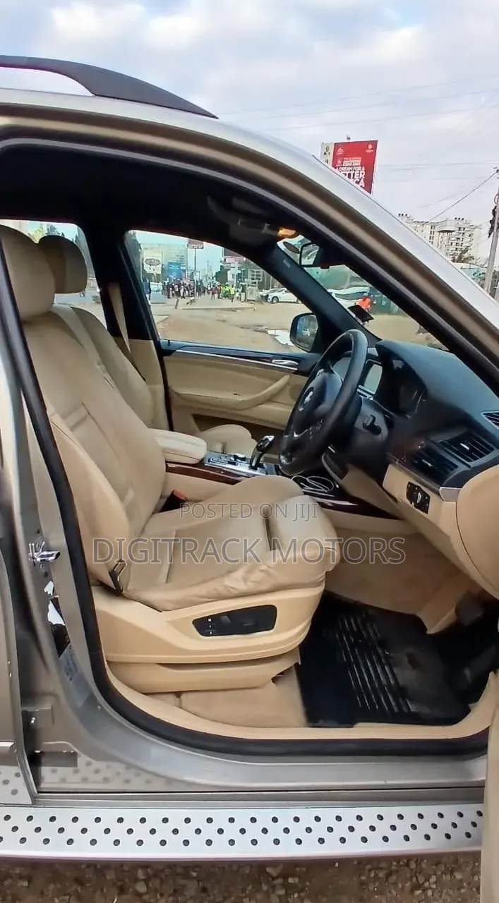 BMW X5 2009 Brown