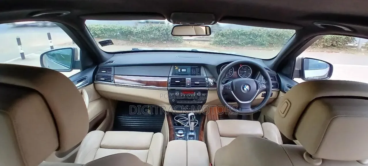 BMW X5 2009 Brown