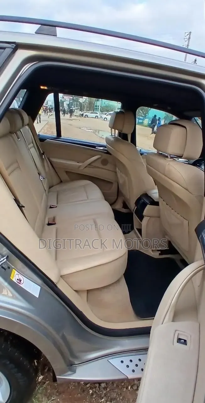BMW X5 2009 Brown