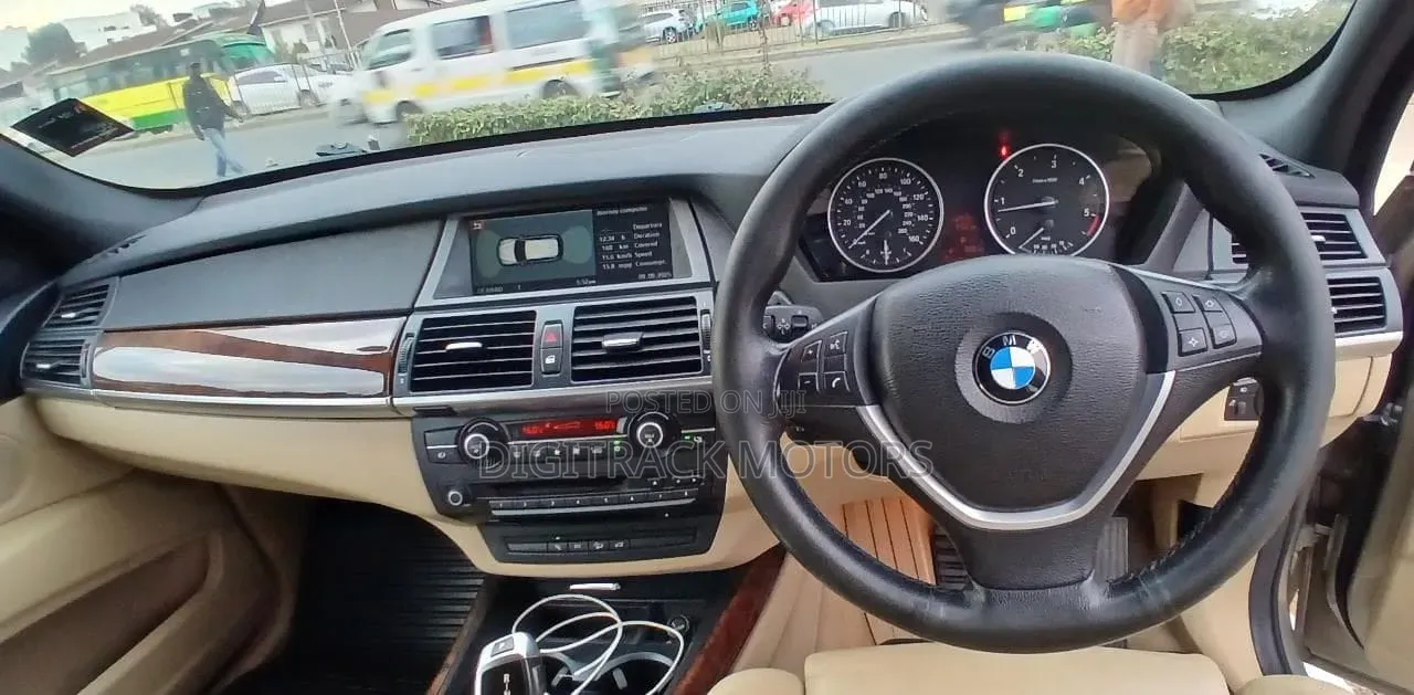 BMW X5 2009 Brown