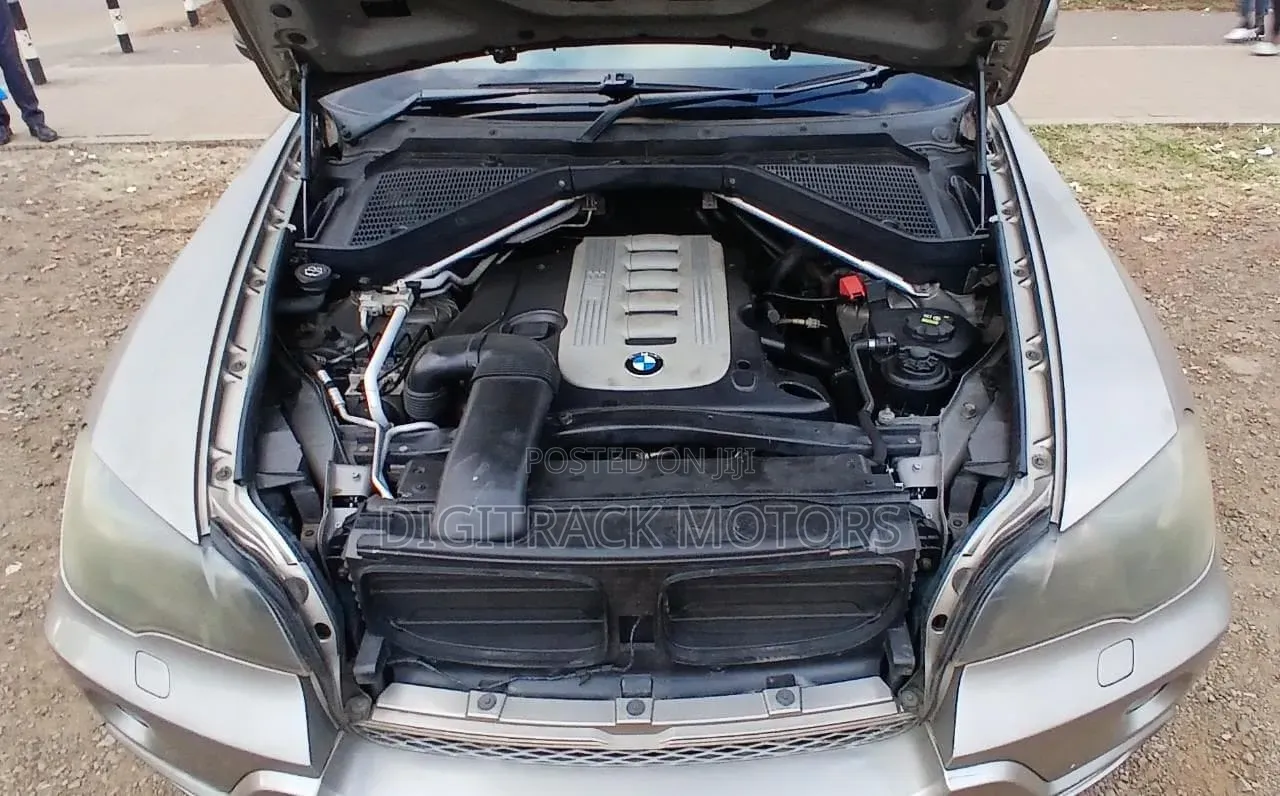 BMW X5 2009 Brown