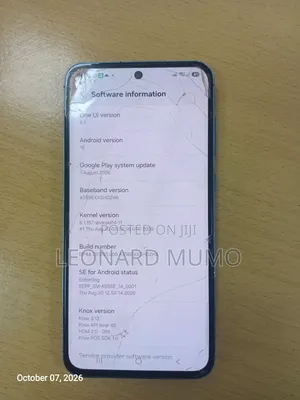 Samsung Galaxy A55 256 GB Blue