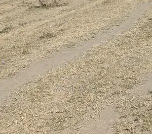 Four Acres Land Narumoro