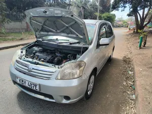 Toyota Raum 2008 Gray