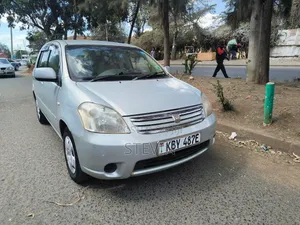 Toyota Raum 2008 Gray