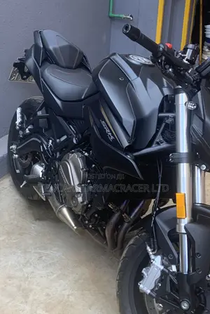 QJ Motor Monster SRK 180 2024