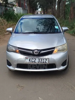 Toyota Axio 2013 Silver