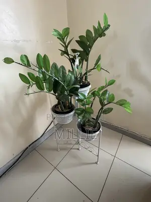 Decor Piece