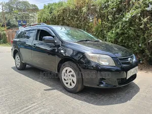 Toyota Corolla Fielder 2012 Gray