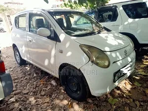 Suzuki Alto 2013 White