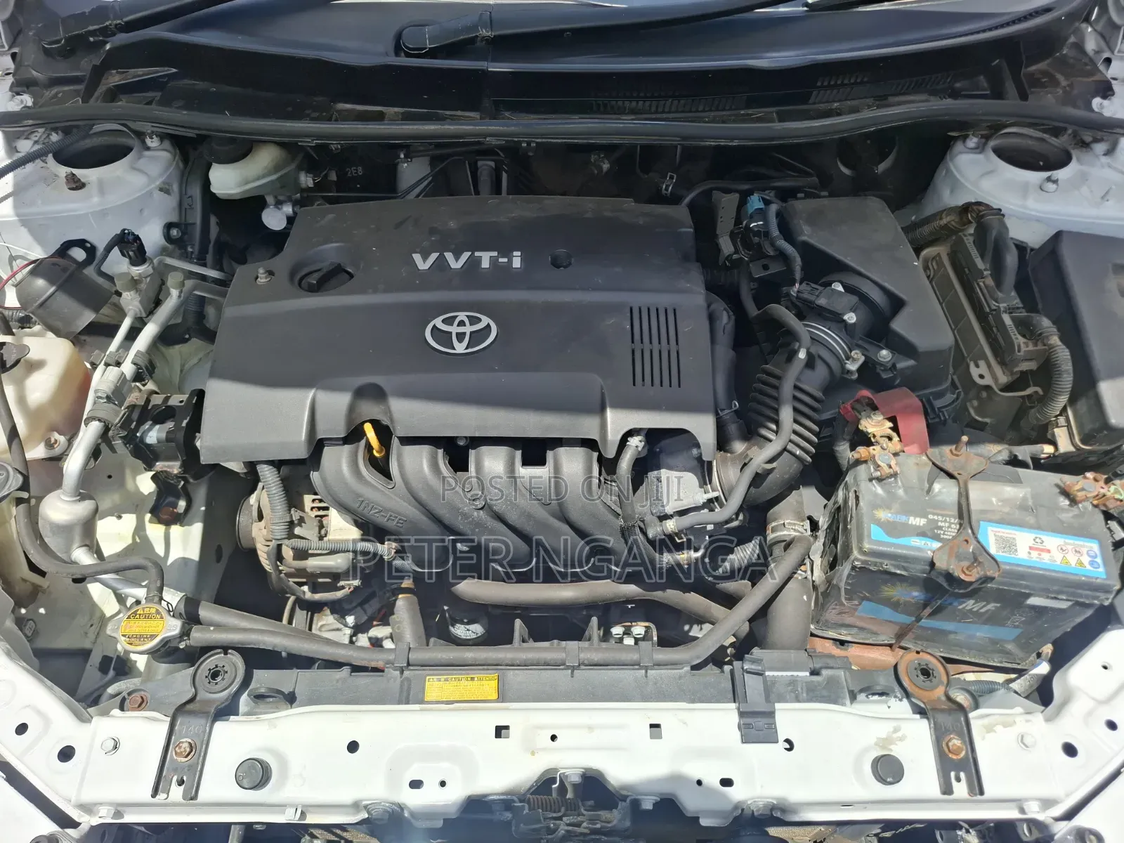 Toyota Axio 1.5 X 2WD 2009 Off white