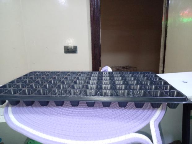 Seedling Development Trays - Wholesale - main view