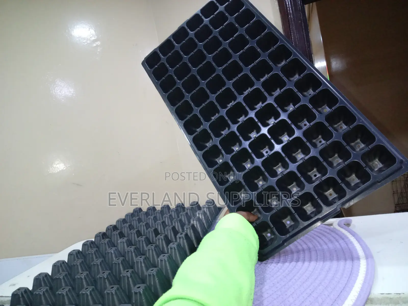 Seedling Transplant Preparation Trays - Wholesale