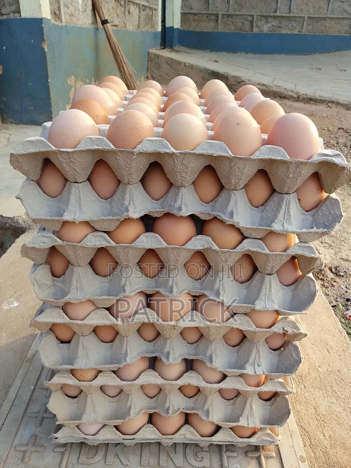 Fertilized Eggs. Improved Kienyeji
