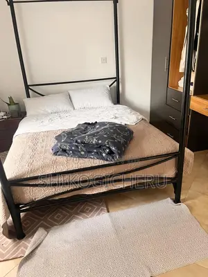 Metal Canopy Bed