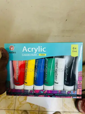 Assorted 6 PCS Acrylic Paint Set
