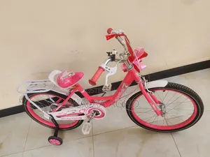 A Sturdy and Comfortable Children's Bicycle.