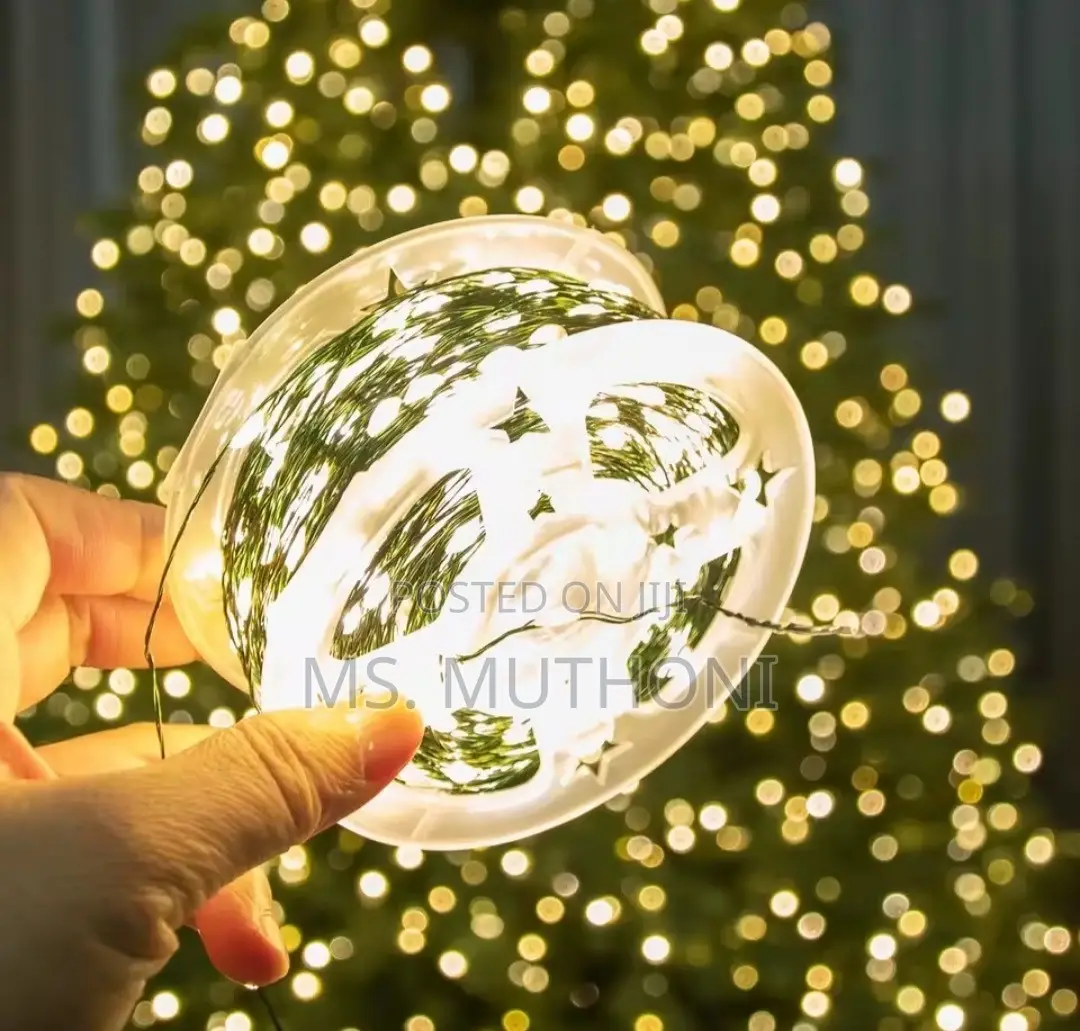 20 M LED Fairy / String Lights (200 Lights)