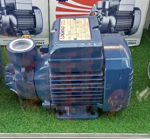Original Pedrollo Water Pump 0.5HP / Pedrollo Water Pump PKM 60 0.5hp