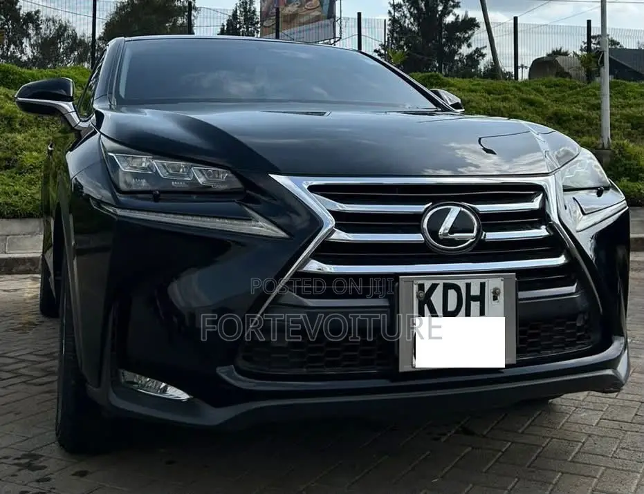 Lexus NX 2014 Black