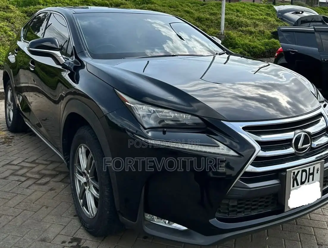Lexus NX 2014 Black