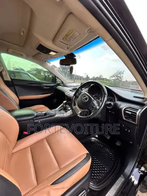 Lexus NX 2014 Black