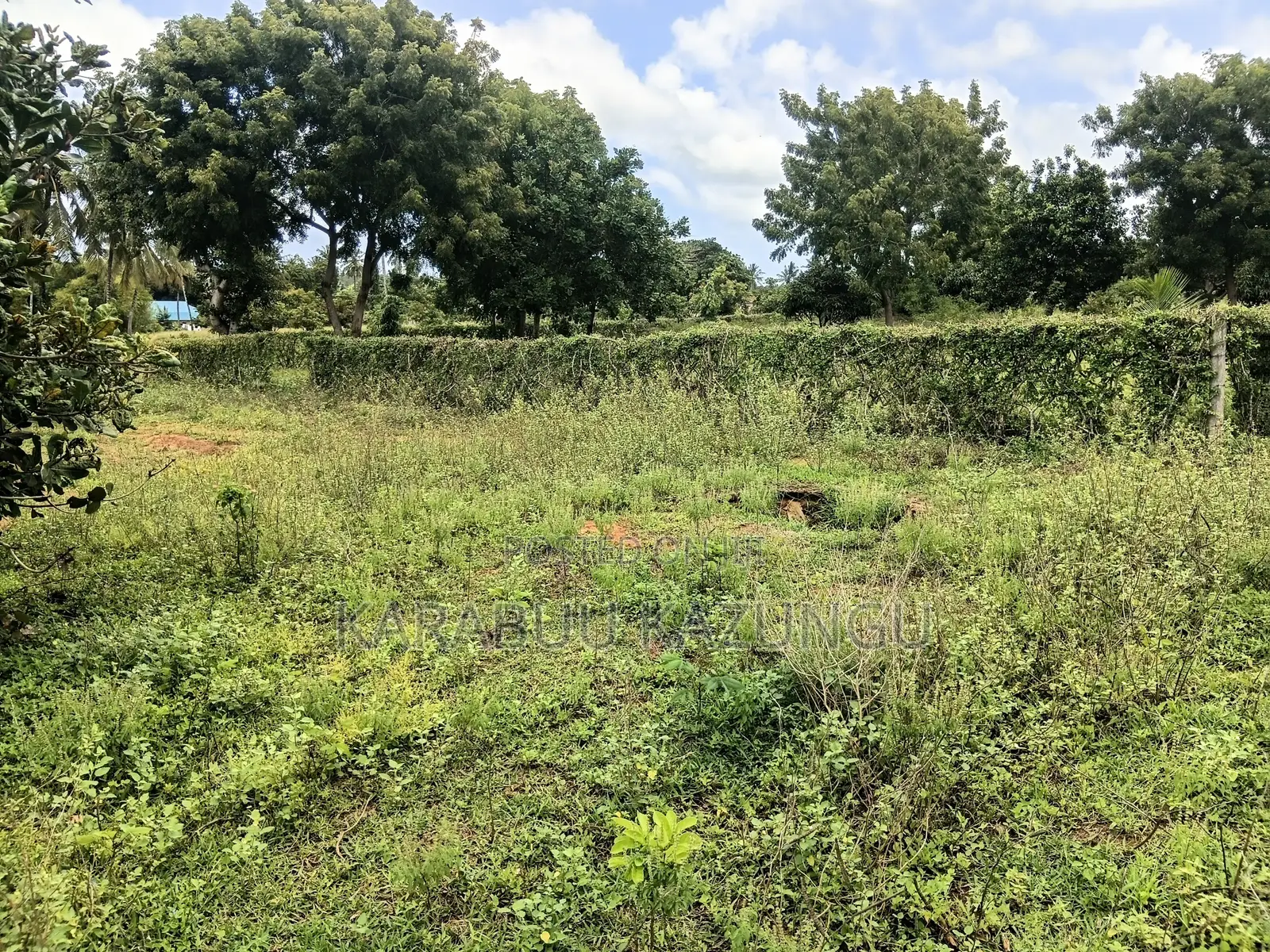 Land for Sale