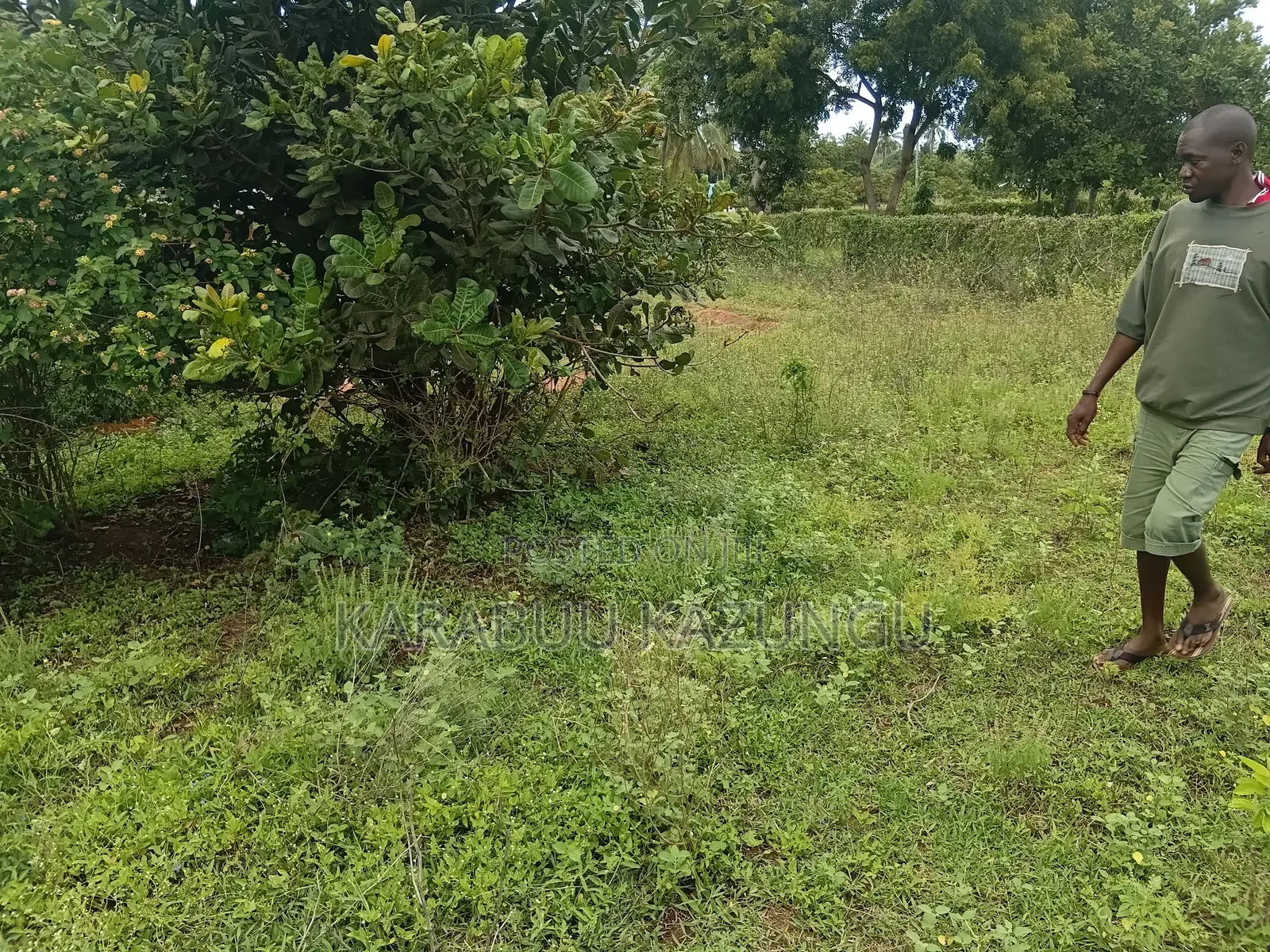 Land for Sale