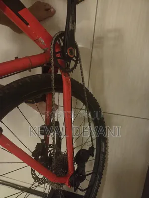 Trek MTB 29"