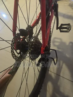 Trek MTB 29"