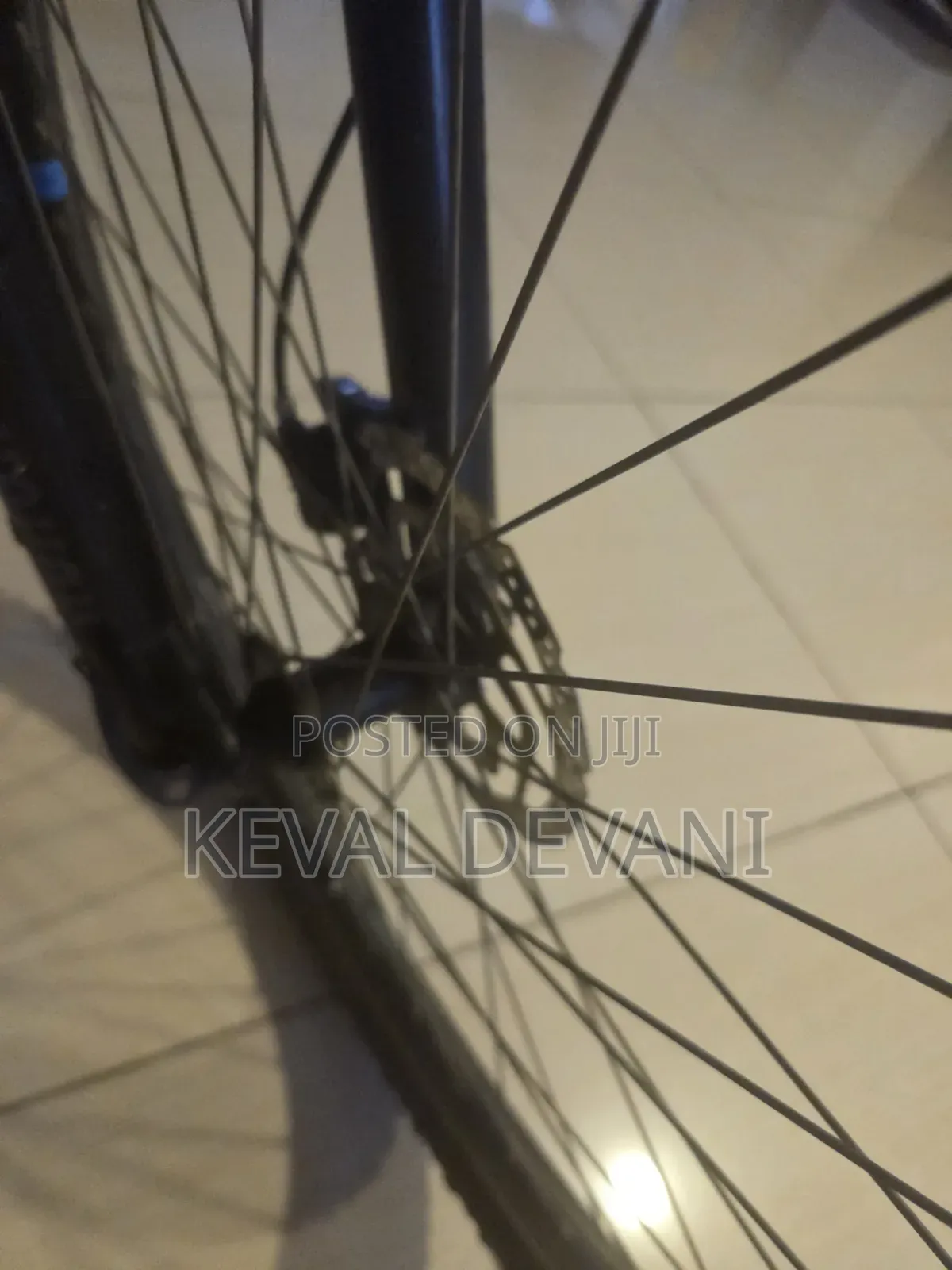 Trek MTB 29"