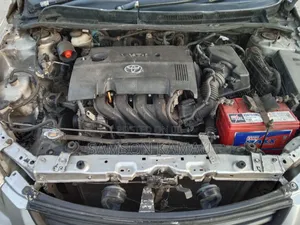 Toyota Axio 2010 Silver
