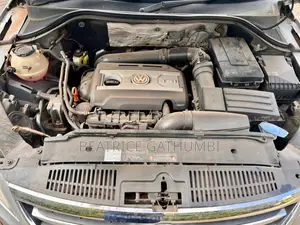 Volkswagen Tiguan 2009 Silver