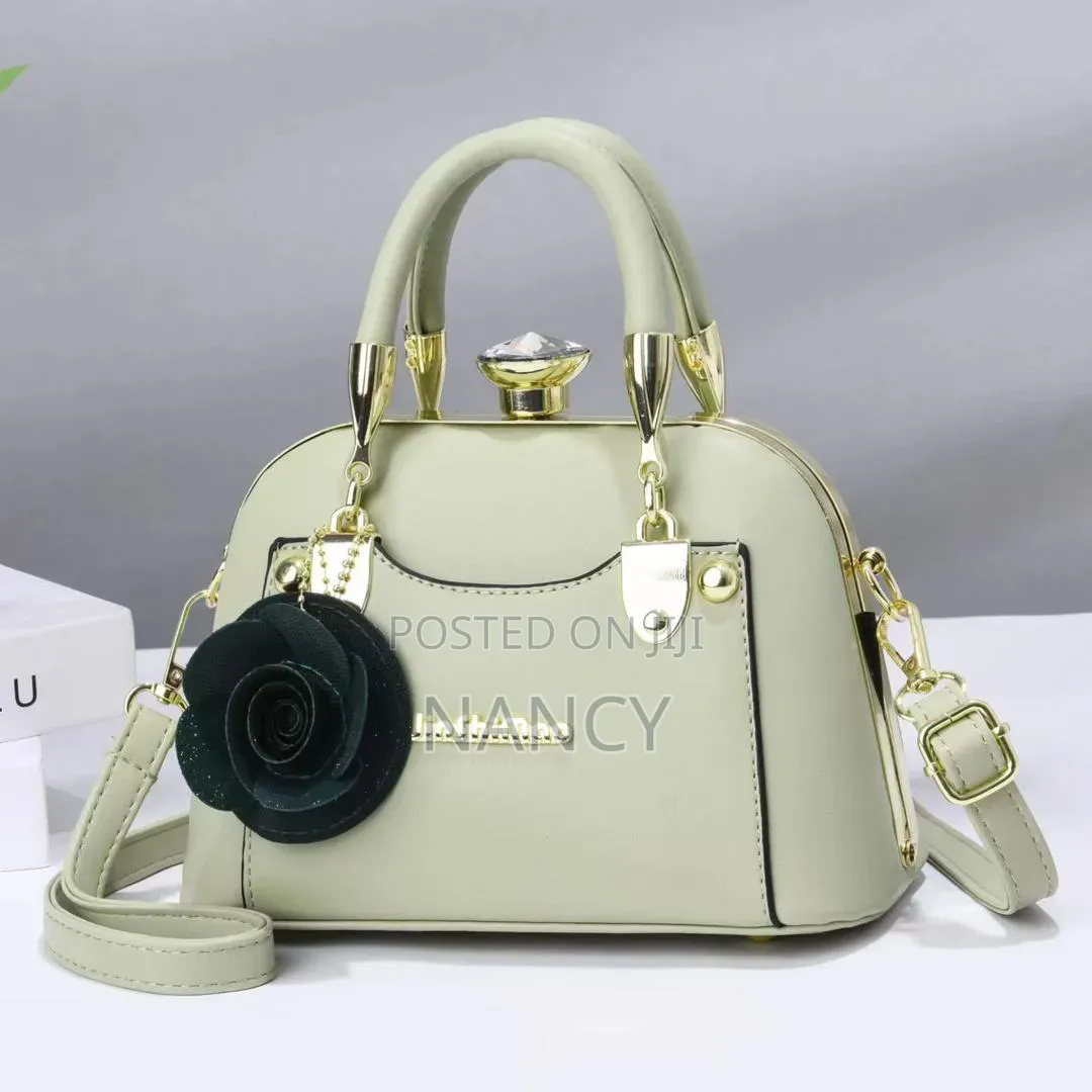 Classy Handbag