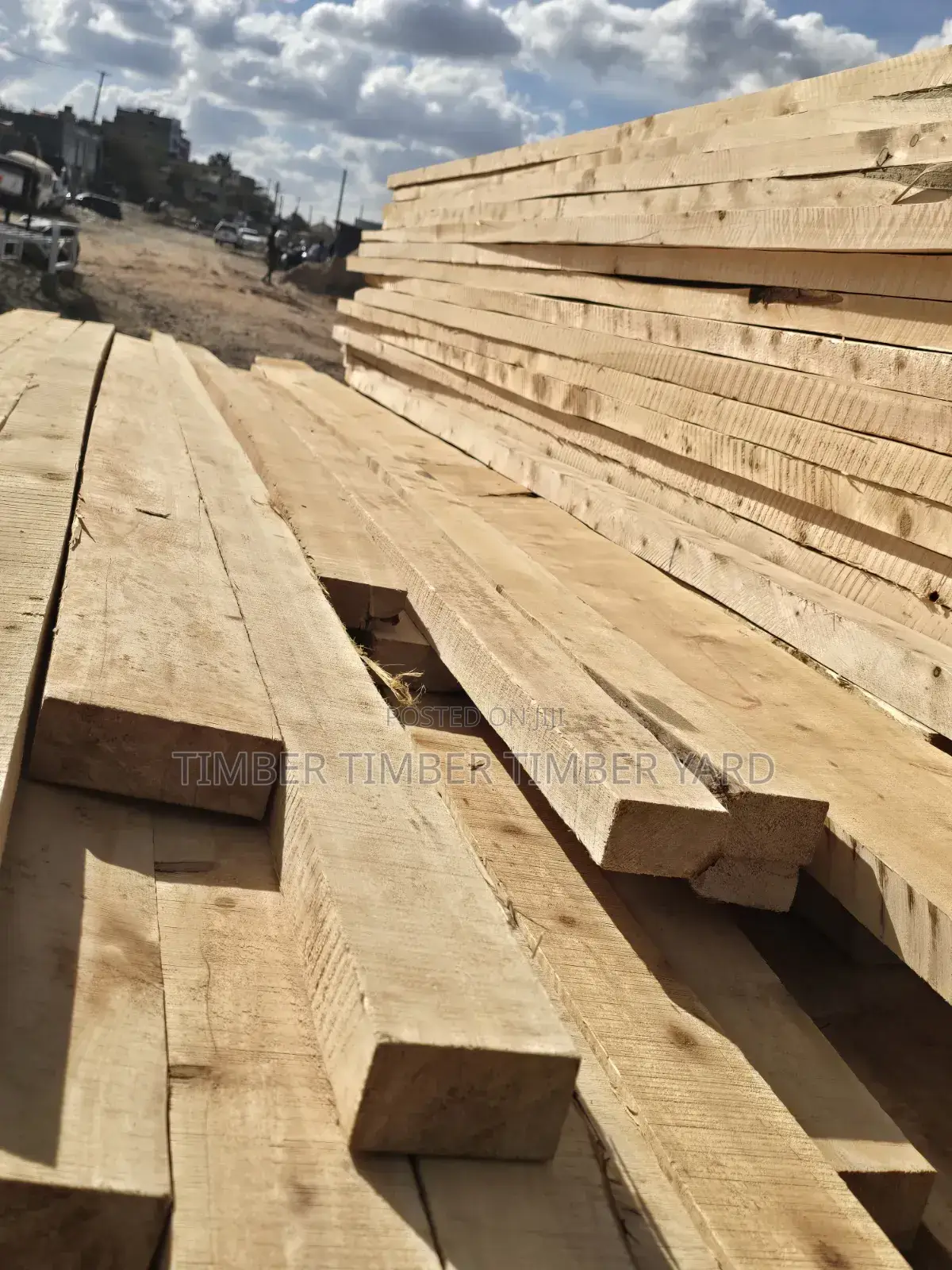 Cypresa Timber