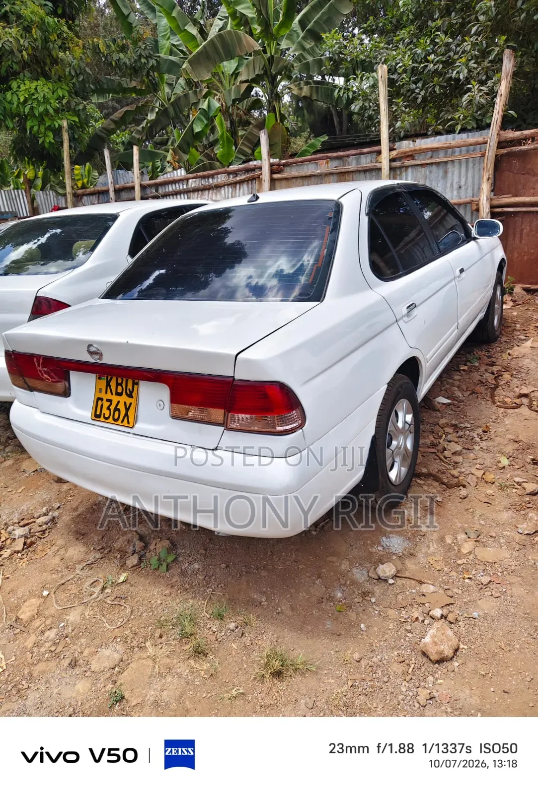 Nissan Sunny 2005 White