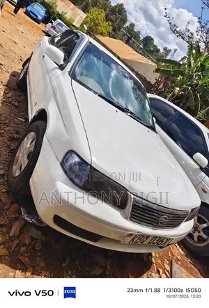 Nissan Sunny 2005 White