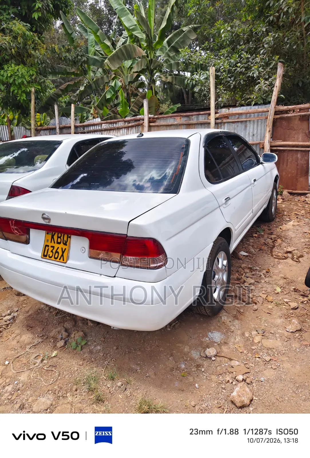 Nissan Sunny 2005 White