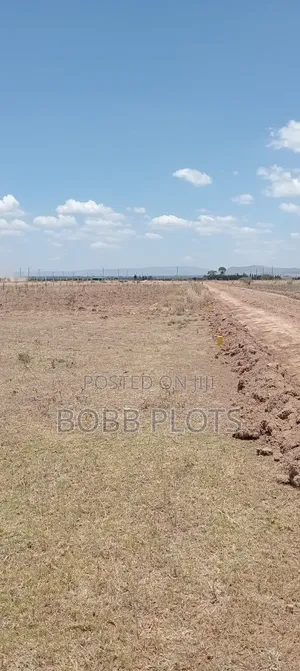 Mutaita Prime Plots