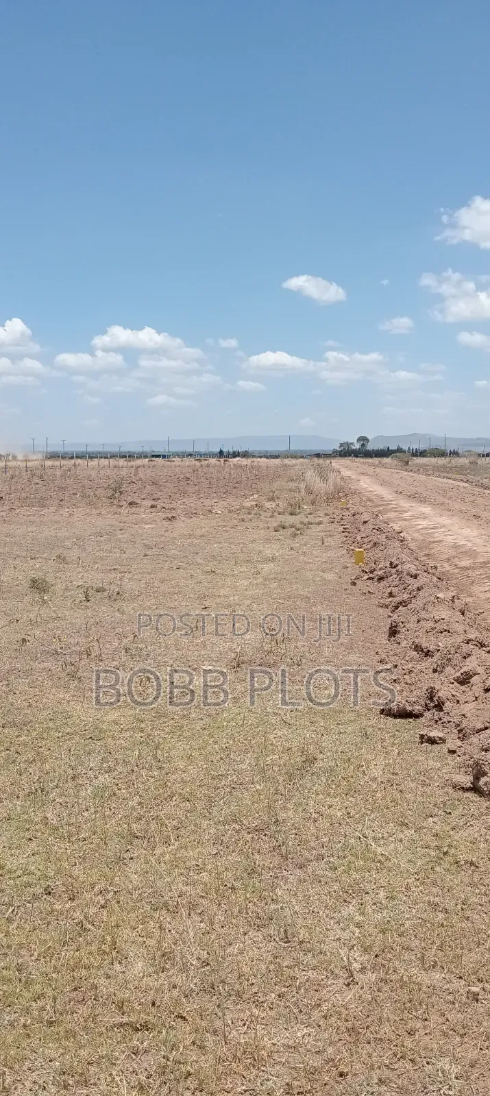Mutaita Prime Plots