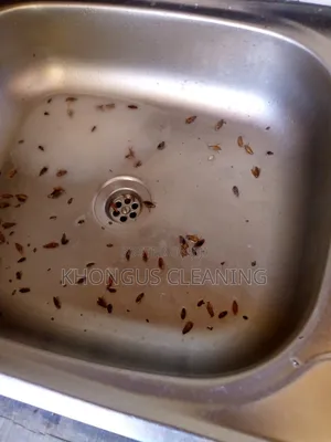 Fumigation Services Kisumu,Homabay