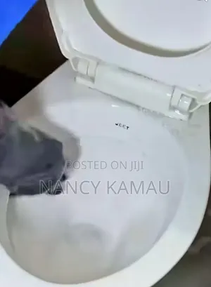 Routine Toilet Wash