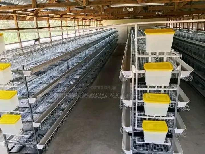 H Type Cage Layers