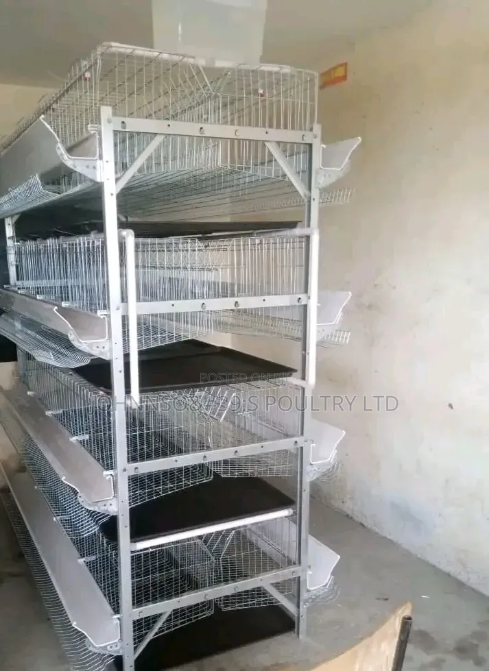 H Type Cage Layers