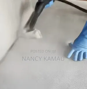 Household Coach Wash