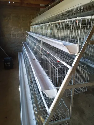 128 Cage Capacity