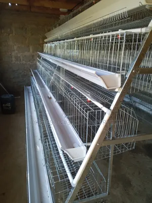 128 Cage Capacity